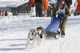 Lenk 2012 SM